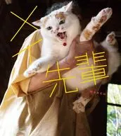 メイ先輩 / MARCO