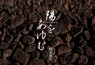 陽をあゆむ / 橋本清志