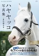 ハヤヤッコ写真集