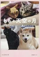 ももと天空の月 犬猫4きょうだいと暮らしています