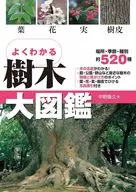 よくわかる 樹木大図鑑 / 平野隆久