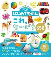はじめてずかん これ、な～に？ 650