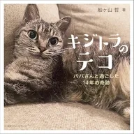 キジトラのテコ パパと過ごした14年の奇跡 / 船ケ山哲
