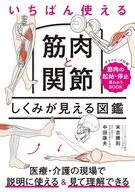 いちばん使える 筋肉と関節 しくみが見える図鑑 / 末吉勝則