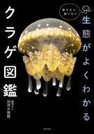 生態がよくわかるクラゲ図鑑 / 鶴岡市立加茂水族館