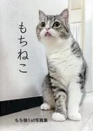 もちねこ