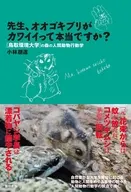 先生、オオゴキブリがカワイイって本当ですか? / 小林朋道