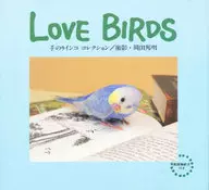 LOVE BIRDS : Hand-Laid Parakeet Collection