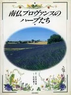 法国南部普罗旺斯的药草