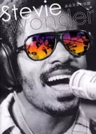 Stevie Wonder, a lenda de um gênio.