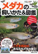 メダカの飼いかた＆図鑑