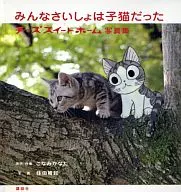 大家都是小猫的甜甜私房猫写真集