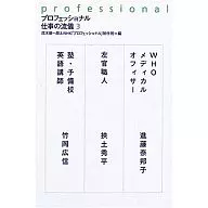 Professional Work Style 3