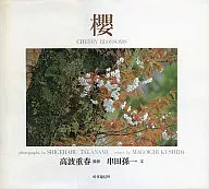 樱CHERRY BLOSSOMS