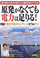 原発がなくても電力は足りる!☆飯田哲也