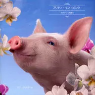 Pretty in Pink ¡Las chicas son lindas!