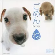 Sorry ☆ Yoneo Morita