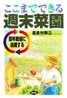 可以做到这一步的周末菜园