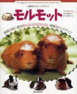 Guinea pig