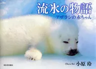 流冰的故事小海豹