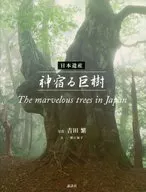 日本遺産 神宿る巨樹 The marve / 吉田繁