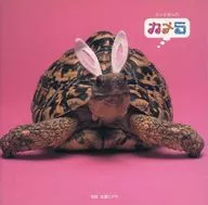 Tartarugas - Livro das Tartarugas 1