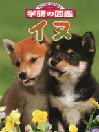 Dog (New Wide Institute of Science and Technology)