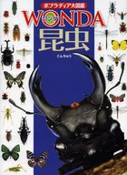 昆蟲