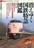 Ilustração do desaparecimento do "JNR Limited Express"