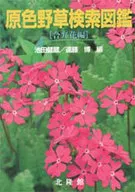 原色新樹木検索図鑑 合弁花他編
