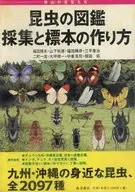 昆虫の図鑑 採集と標本の作り方