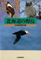 北海道の野鳥