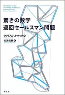 Surprising mathematical traveling salesman problem