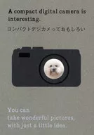 コンパクトデジカメっておもしろい / 中川ちひろ