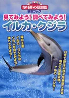 Let's see! Let's dolphins and whales