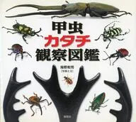 Categoria : Coleópteros