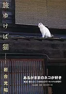 旅梦猫-日本猫写真集-