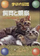 飼育と観察