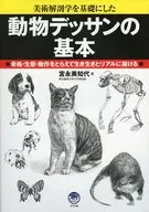 Basics of animal drawings