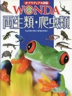 兩棲類和爬行類