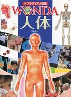 人體