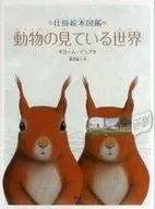 動物看到的世界