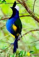 The beautiful colored birds of the world