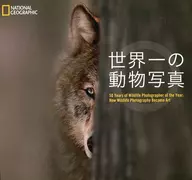 全球一圖片
