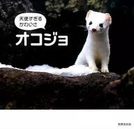 Too cute an angel, Ermine.