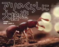 Close to the ant's life