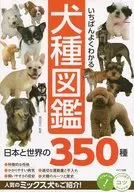 犬种图鉴日本和世界的350种
