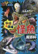 Categoría : Superfamilia