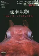 附DVD)深海生物--令人兴奋的奇妙生物