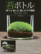 A Healing Moss Guide for Growing Moss Bottles